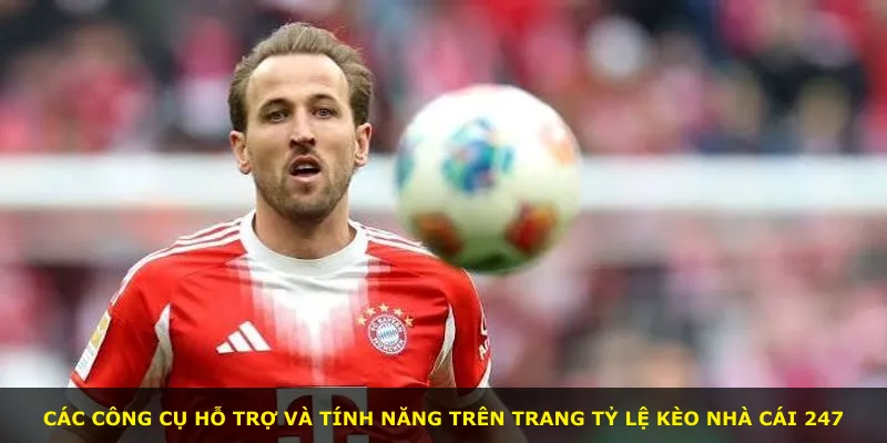 Các công cụ hỗ trợ và tính năng trên trang Tỷ Lệ Kèo Nhà Cái 247