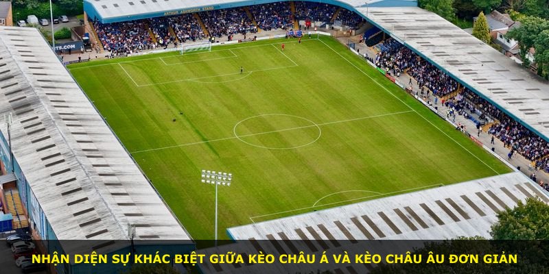 Nhận diện sự khác biệt giữa kèo Châu Á và kèo Châu Âu đơn giản