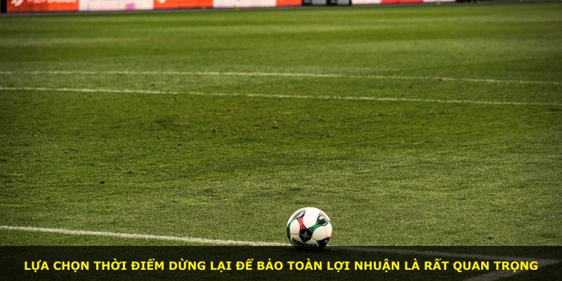 Lựa chọn thời điểm dừng lại để bảo toàn lợi nhuận là rất quan trọng