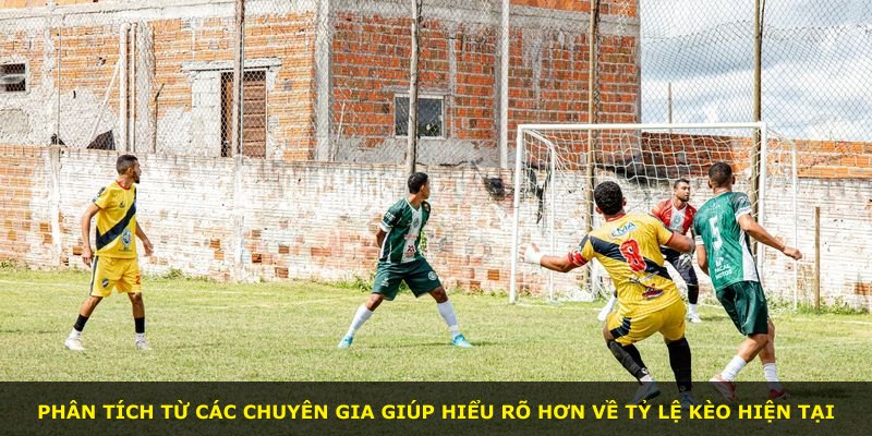 Phân tích từ các chuyên gia giúp hiểu rõ hơn về tỷ lệ kèo hiện tại