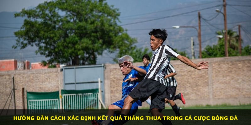 Hướng dẫn cách xác định kết quả thắng thua trong cá cược bóng đá
