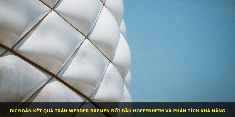 Dự đoán kết quả trận Werder Bremen đối đầu Hoffenheim và phân tích khả năng