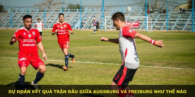 Dự đoán kết quả trận đấu giữa Augsburg và Freiburg như thế nào