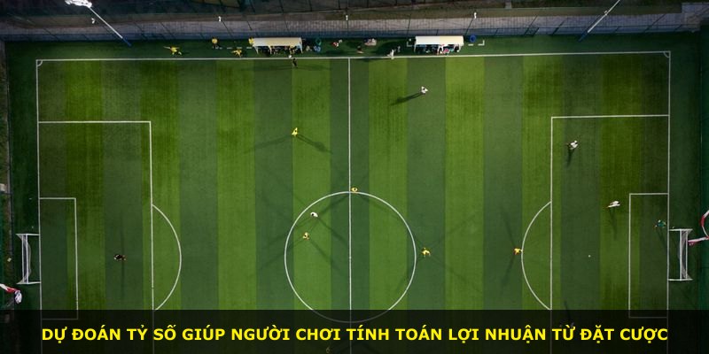 Dự đoán tỷ số giúp người chơi tính toán lợi nhuận từ đặt cược