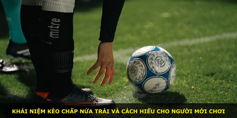 Khái niệm kèo chấp nửa trái và cách hiểu cho người mới chơi