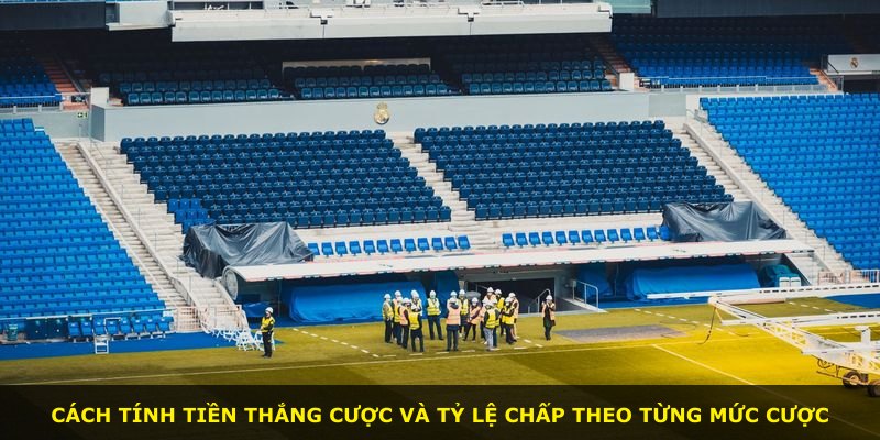 Cách tính tiền thắng cược và tỷ lệ chấp theo từng mức cược