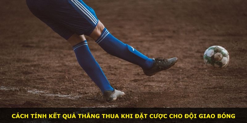 Cách tính kết quả thắng thua khi đặt cược cho đội giao bóng