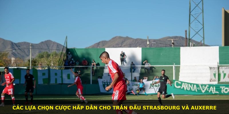 Các lựa chọn cược hấp dẫn cho trận đấu Strasbourg và Auxerre