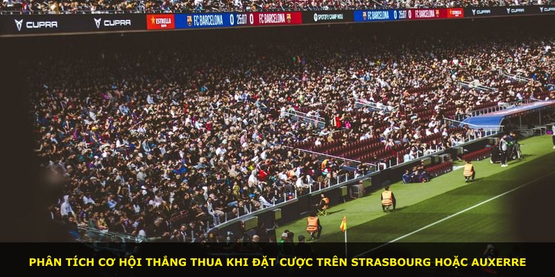 Phân tích cơ hội thắng thua khi đặt cược trên Strasbourg hoặc Auxerre