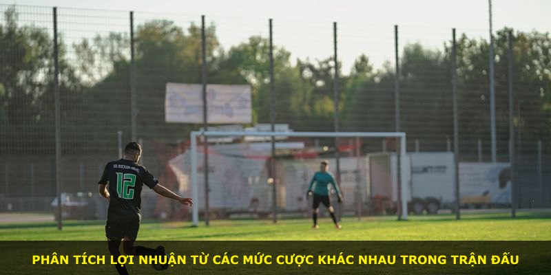 Phân tích lợi nhuận từ các mức cược khác nhau trong trận đấu
