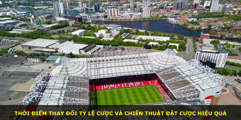 Thời điểm thay đổi tỷ lệ cược và chiến thuật đặt cược hiệu quả