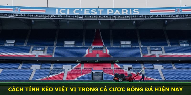 Cách tính kèo Việt Vị trong cá cược bóng đá hiện nay