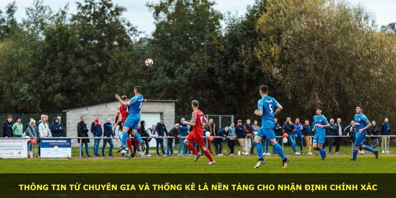 Thông tin từ chuyên gia và thống kê là nền tảng cho nhận định chính xác