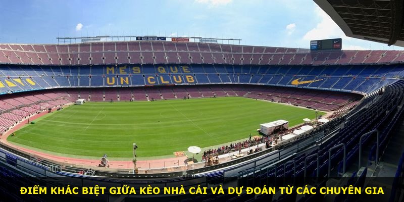Điểm khác biệt giữa kèo nhà cái và dự đoán từ các chuyên gia