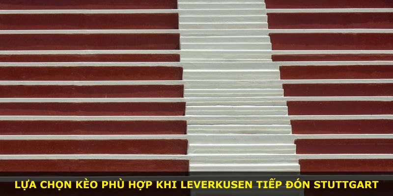 Lựa chọn kèo phù hợp khi Leverkusen tiếp đón Stuttgart