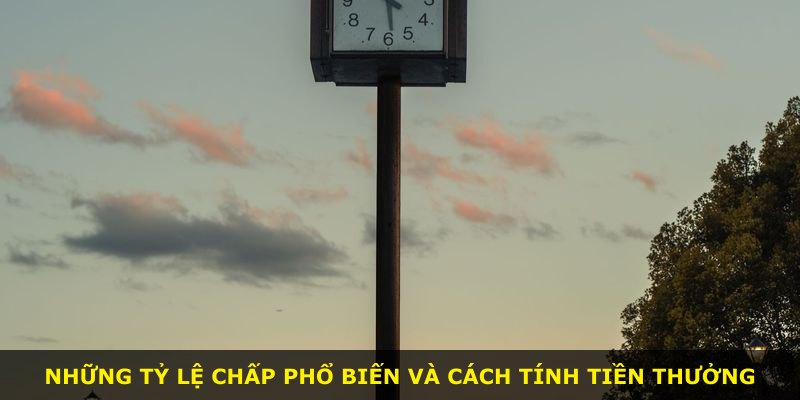 Những tỷ lệ chấp phổ biến và cách tính tiền thưởng