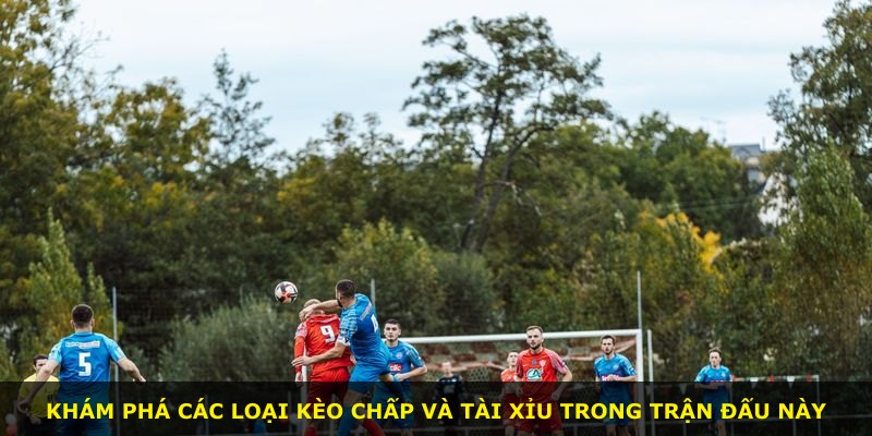 Khám phá các loại kèo chấp và tài xỉu trong trận đấu này