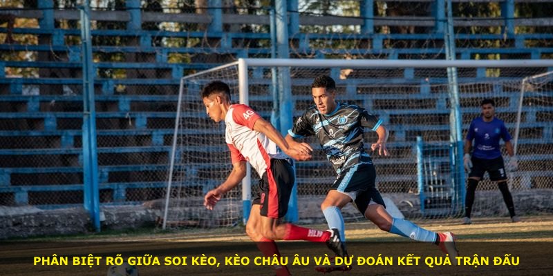 Phân biệt rõ giữa soi kèo, kèo châu Âu và dự đoán kết quả trận đấu