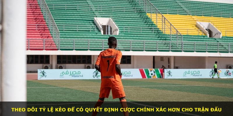 Theo dõi tỷ lệ kèo để có quyết định cược chính xác hơn cho trận đấu