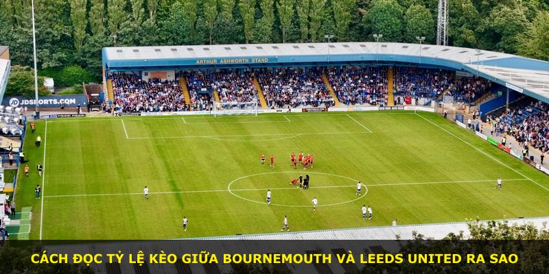 Cách đọc tỷ lệ kèo giữa Bournemouth và Leeds United ra sao