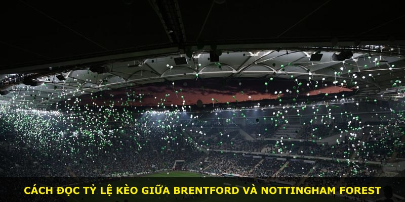 Cách đọc tỷ lệ kèo giữa Brentford và Nottingham Forest