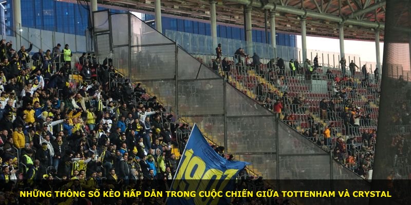 Những thông số kèo hấp dẫn trong cuộc chiến giữa Tottenham và Crystal