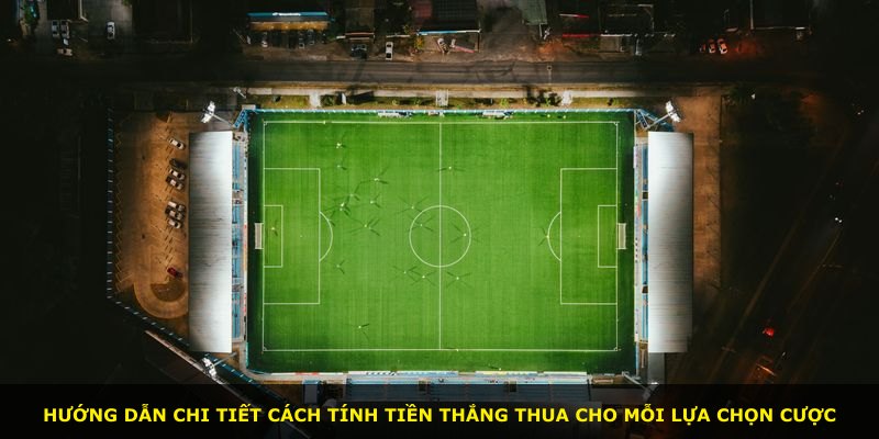 Hướng dẫn chi tiết cách tính tiền thắng thua cho mỗi lựa chọn cược